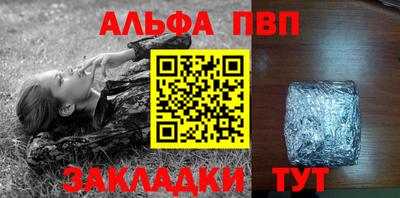 СК Кингисепп